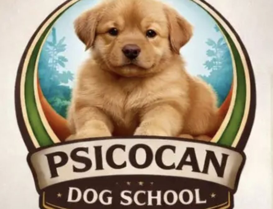 PSICOCAN DOG SCHOOL