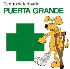 descarga