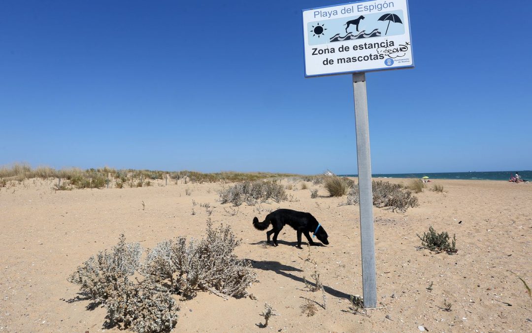 Playa El Espigón , Huelva Ciudad