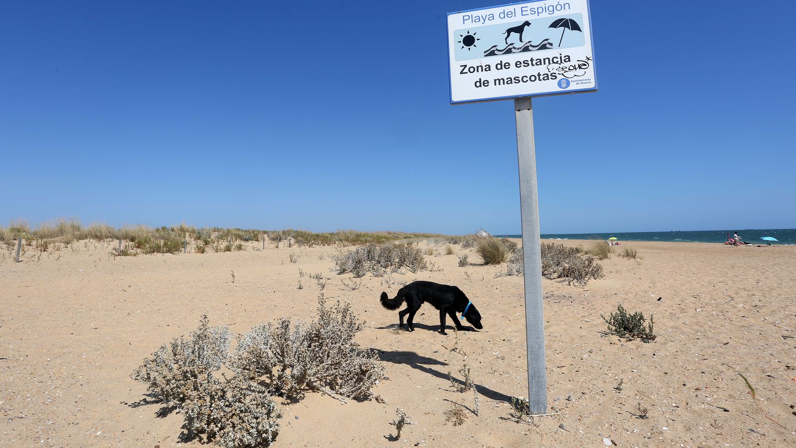 espigon huelva