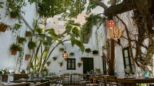 patio-restaurante-tragaluz-conil-2048×1366