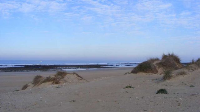 torregorda