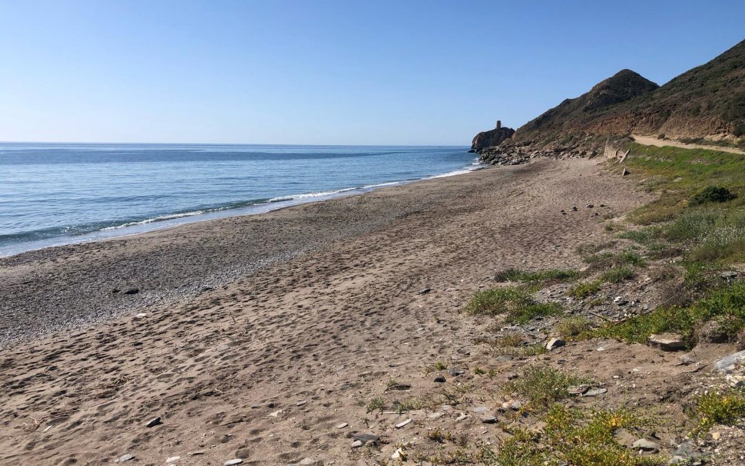 Playa del Perulejo, Playa Canina